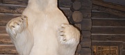 View the Album: Photos
 341 images