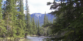Banff
